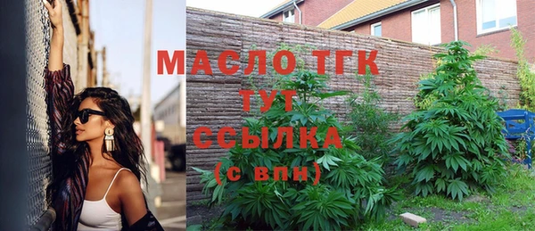 твердый Богородицк