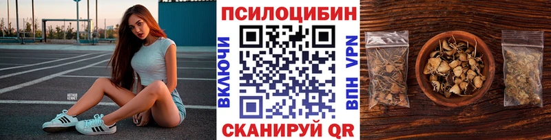 гидра зеркало  Донской  Псилоцибиновые грибы мухоморы  где купить  
